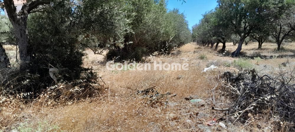 Αγροτεμάχιο στην Μεγάλα Σχοινία Α, Αχαρνές — Φωτογραφία 1 από 6