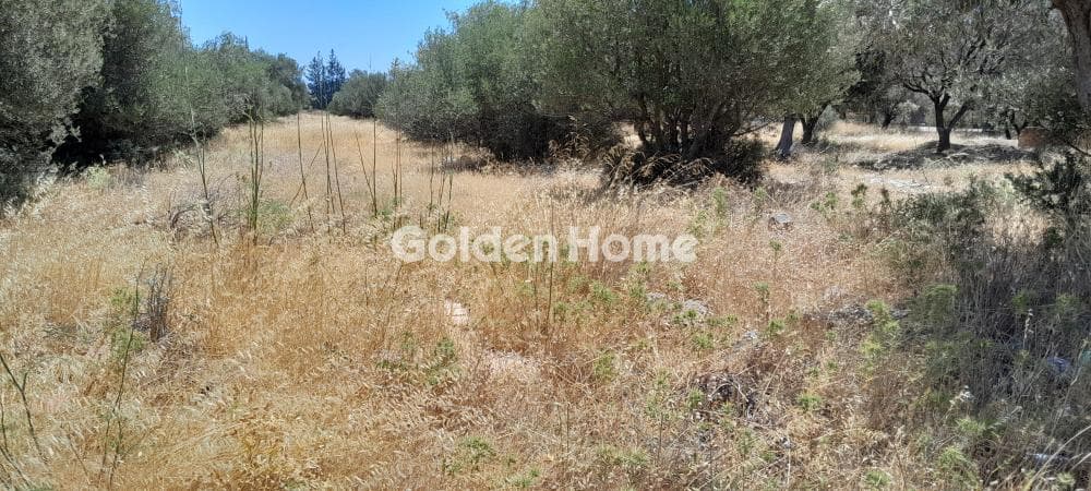 Αγροτεμάχιο στην Μεγάλα Σχοινία Α, Αχαρνές — Φωτογραφία 2 από 6