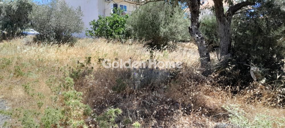 Αγροτεμάχιο στην Μεγάλα Σχοινία Α, Αχαρνές — Φωτογραφία 5 από 6