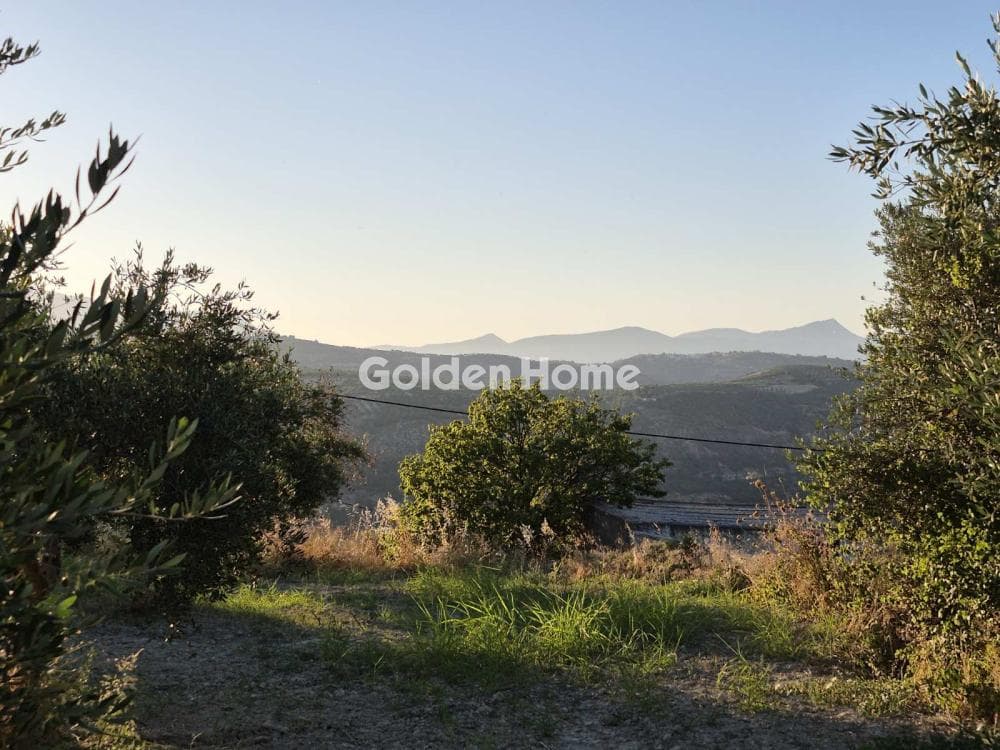 Οικόπεδο στην Δαφνές, Τετραχώρι — Φωτογραφία 3 από 17