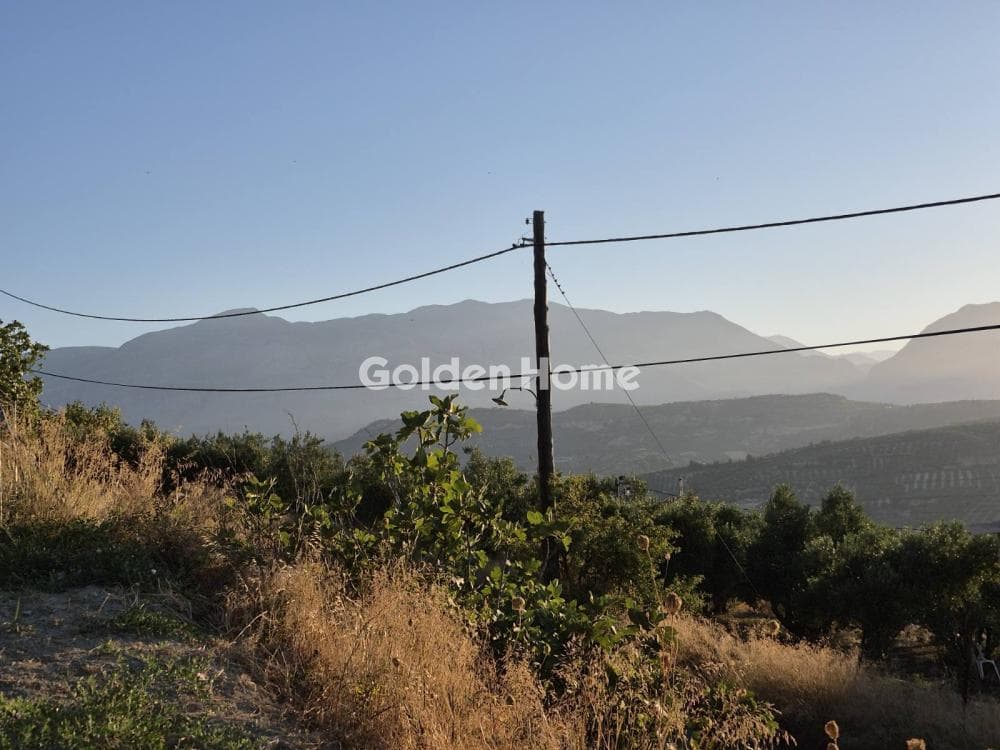 Οικόπεδο στην Δαφνές, Τετραχώρι — Φωτογραφία 6 από 17