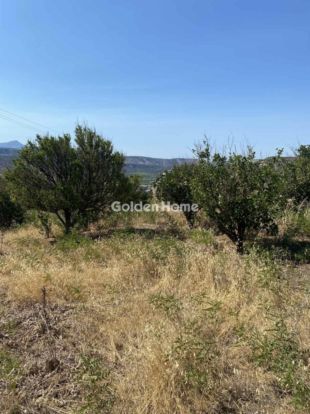 Building Plot in Agios Sillas, Archanes — Photo 1 of 2