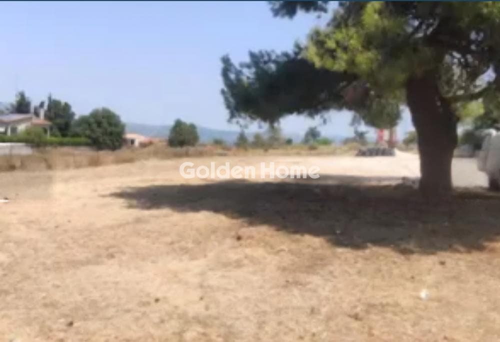 Parcel in Lofos Antheon, Stamata — Photo 1 of 7