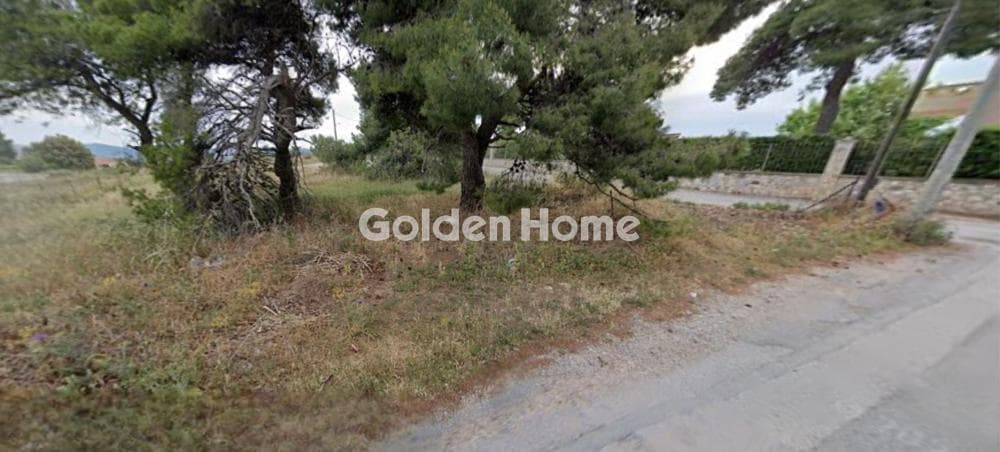 Parcel in Lofos Antheon, Stamata — Photo 5 of 7
