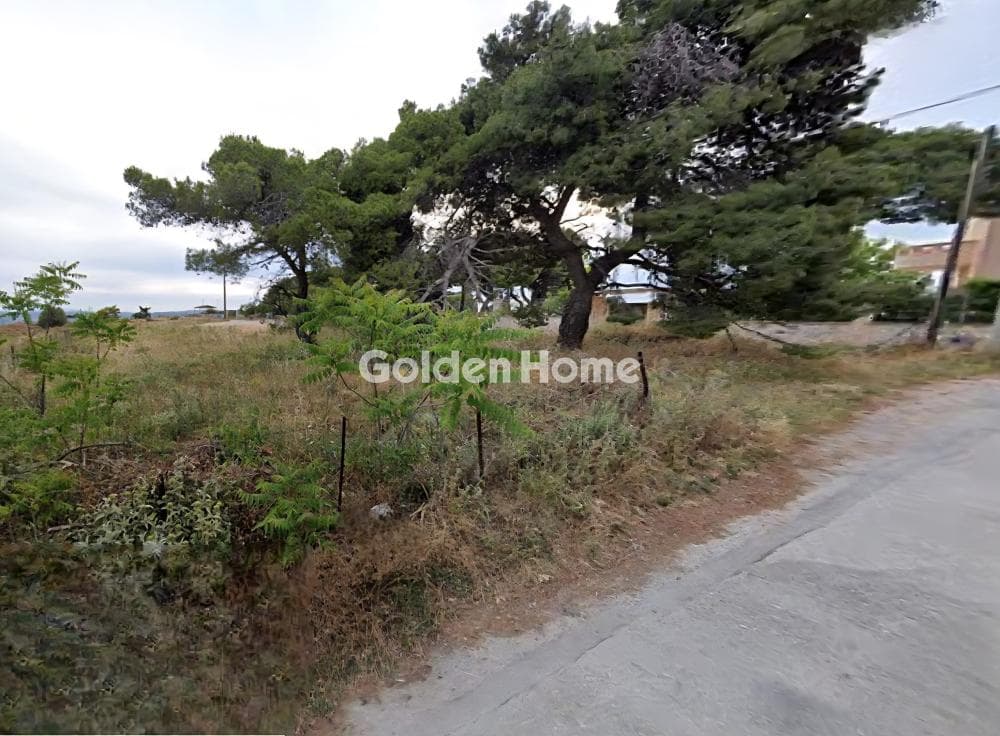 Parcel in Lofos Antheon, Stamata — Photo 6 of 7