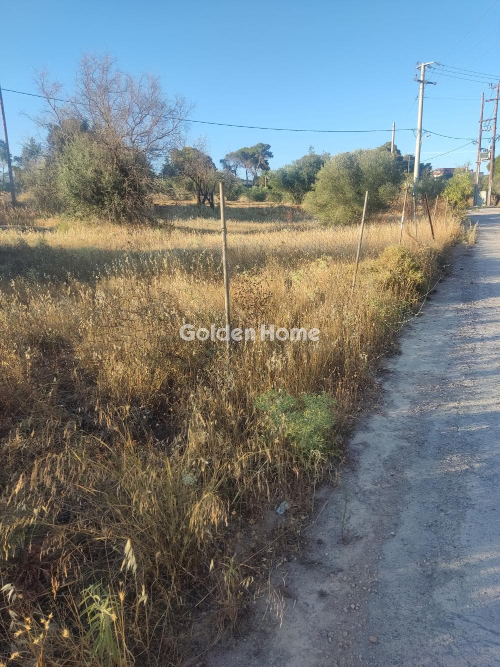 Parcel in Megala Sxoinia A, Acharnes — Photo 1 of 4