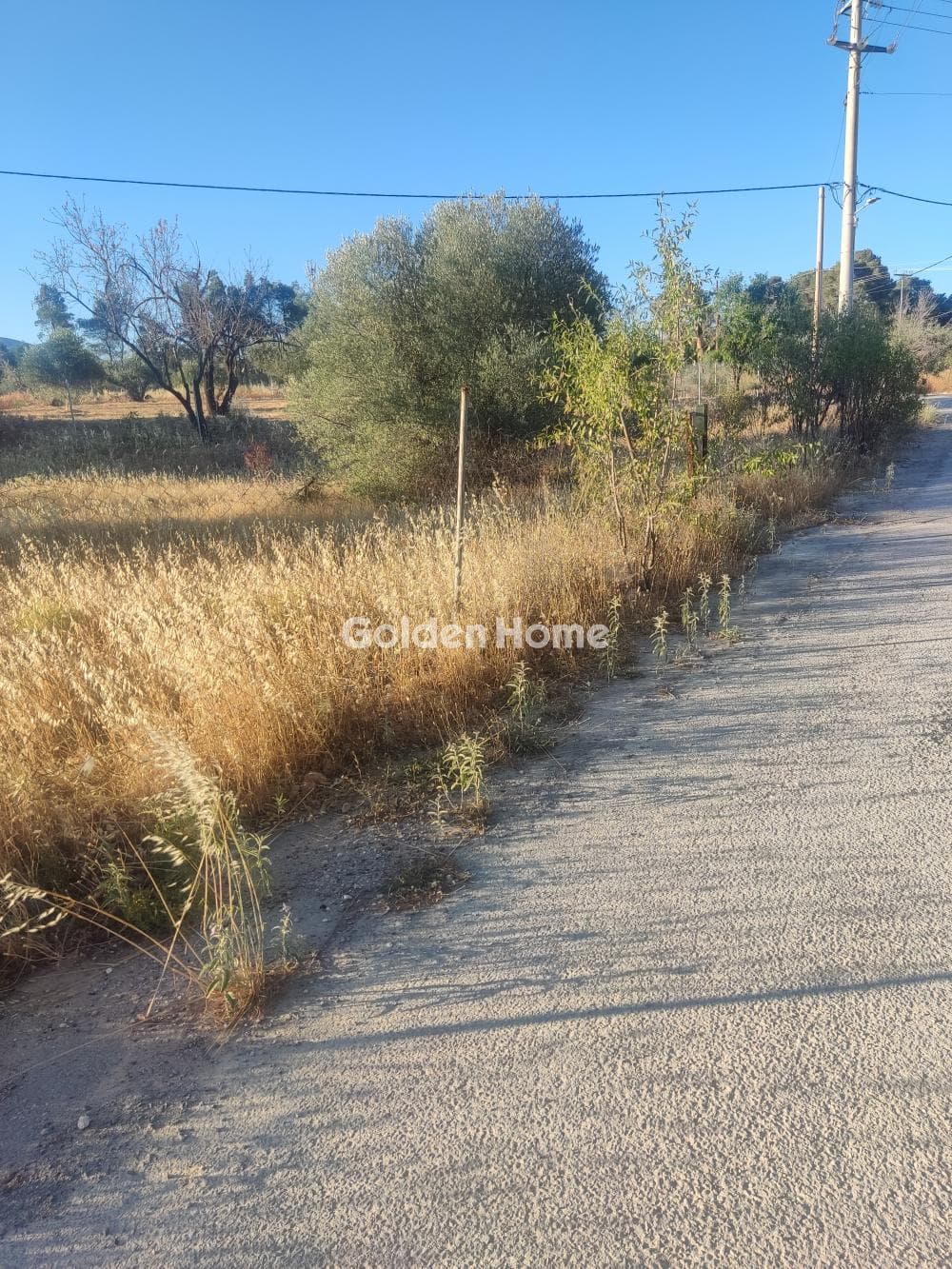 Parcel in Megala Sxoinia A, Acharnes — Photo 3 of 4