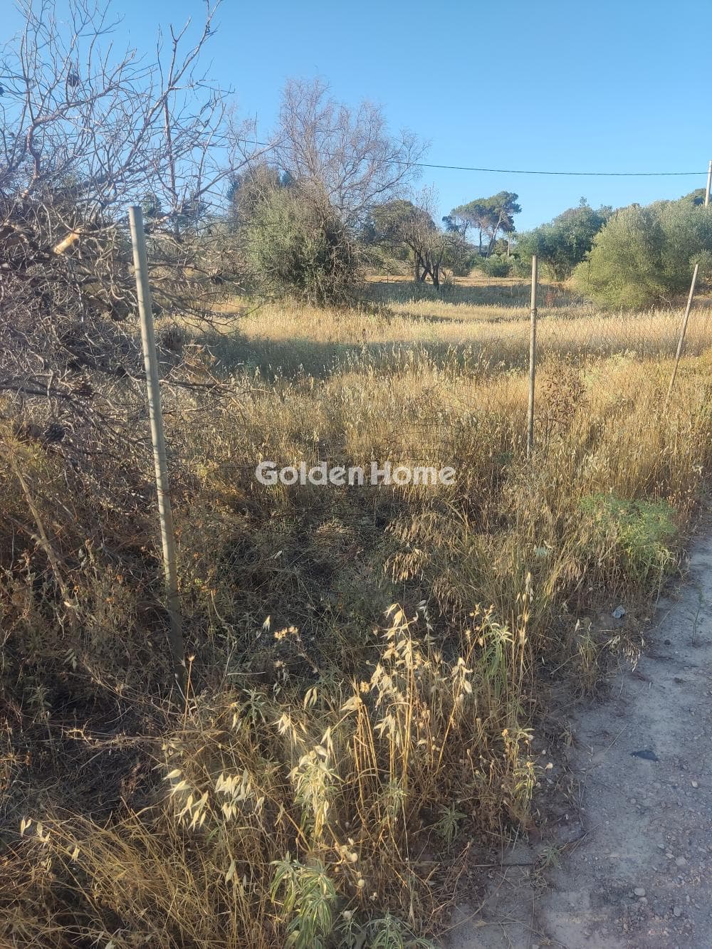 Parcel in Megala Sxoinia A, Acharnes — Photo 2 of 4