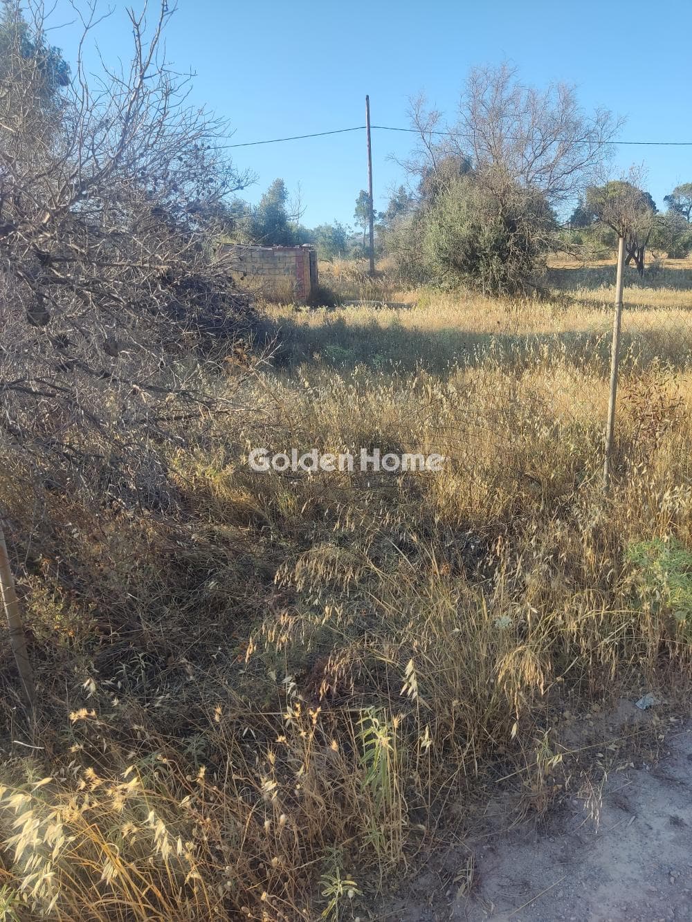 Parcel in Megala Sxoinia A, Acharnes — Photo 4 of 4
