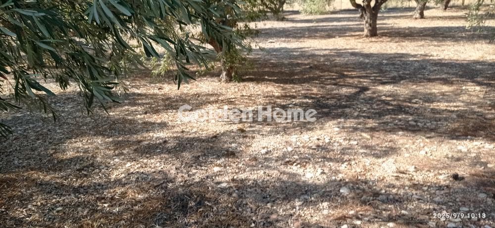 Building Plot in Agia Marina, Koropi — Photo 2 of 4