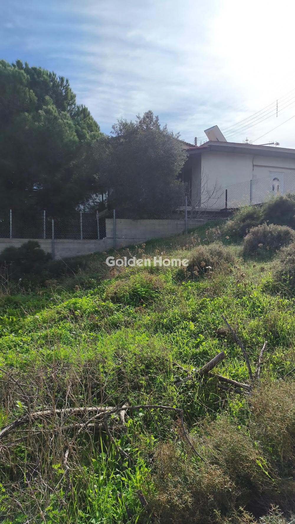 Αγροτεμάχιο στην Μικρολίμανο, Λαύριο — Φωτογραφία 2 από 2