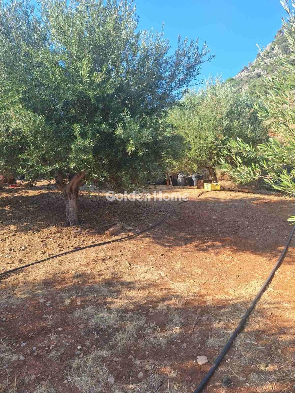 Building Plot in Center, Mallia — Photo 4 of 17