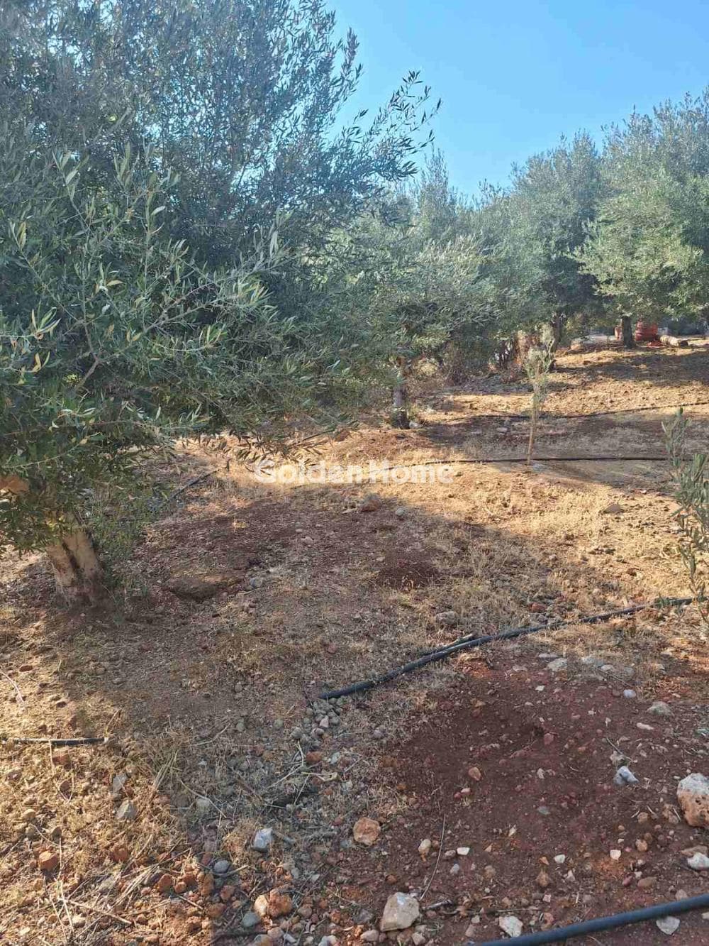 Building Plot in Center, Mallia — Photo 1 of 17