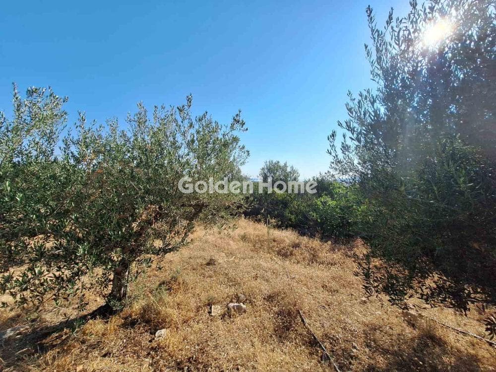 Building Plot in Center, Mallia — Photo 3 of 17
