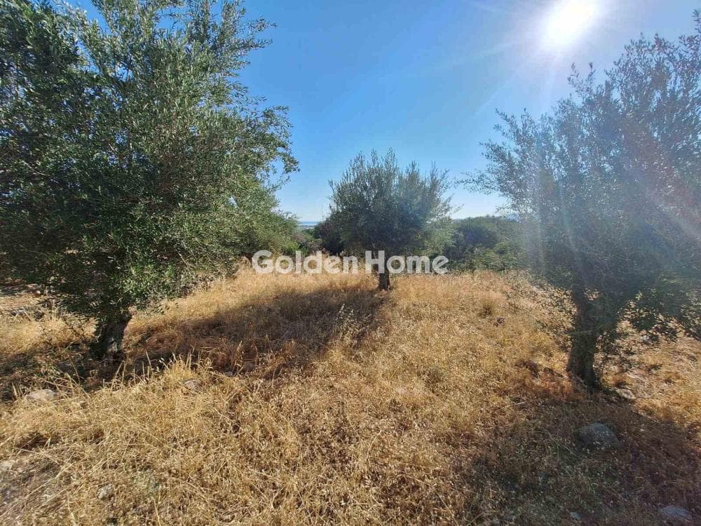 Building Plot in Center, Mallia — Photo 8 of 17