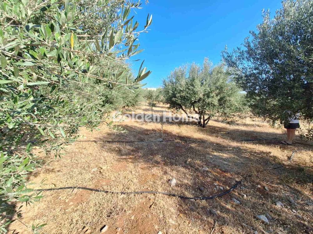 Building Plot in Center, Mallia — Photo 9 of 17