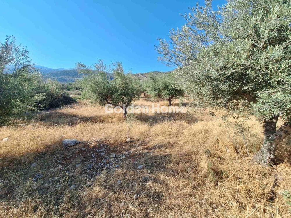 Building Plot in Center, Mallia — Photo 11 of 17
