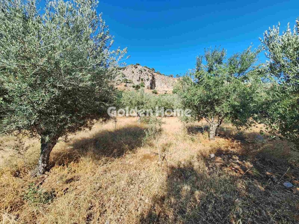 Building Plot in Center, Mallia — Photo 10 of 17