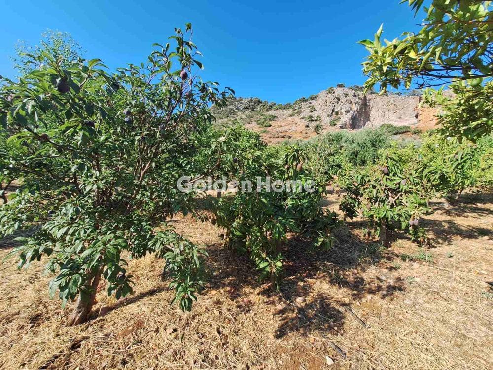 Building Plot in Center, Mallia — Photo 13 of 17