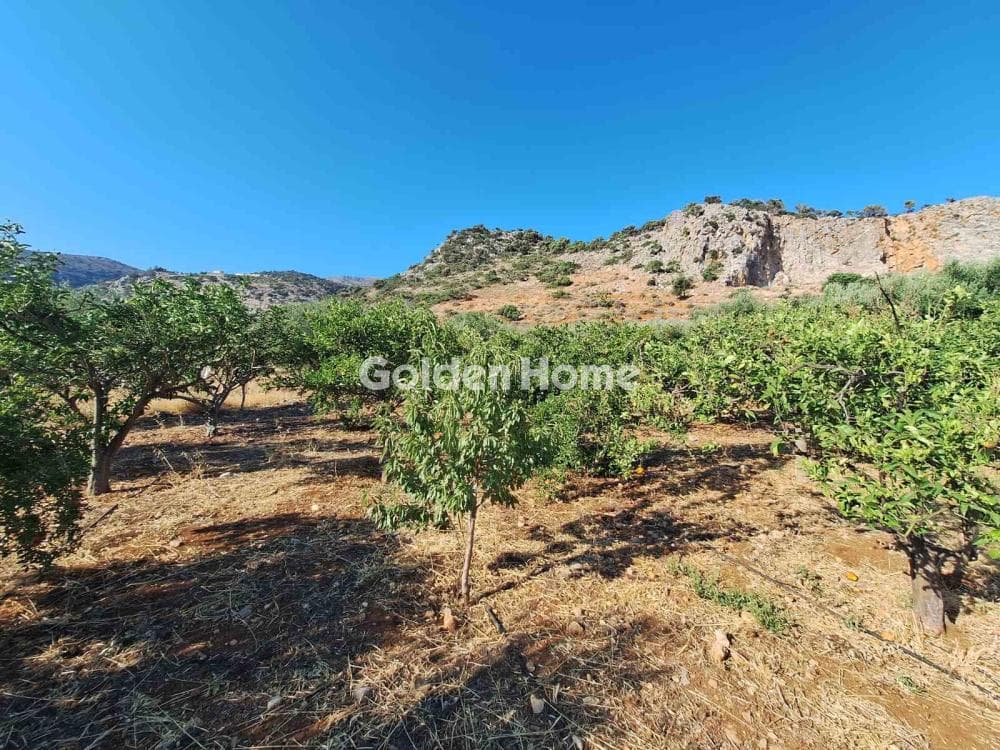 Building Plot in Center, Mallia — Photo 15 of 17