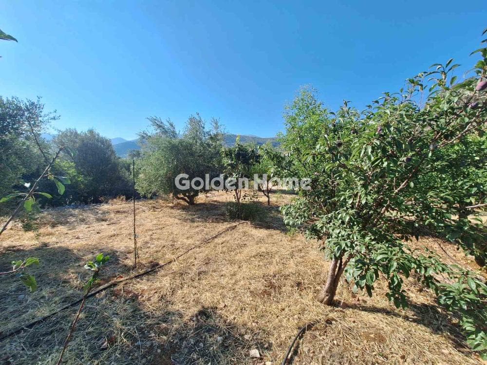 Building Plot in Center, Mallia — Photo 17 of 17
