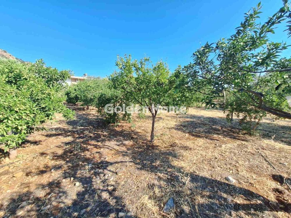 Building Plot in Center, Mallia — Photo 16 of 17