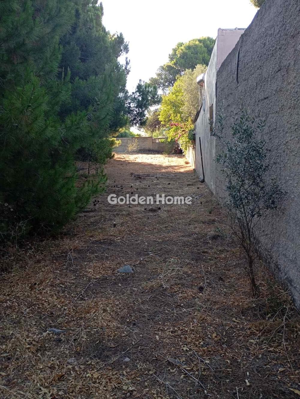 Οικόπεδο στην Κέντρο, Αρτέμιδα (Λούτσα) — Φωτογραφία 3 από 4