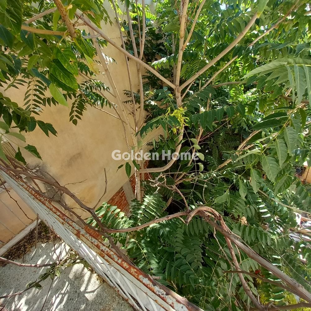 House in Neo Terma, Marousi — Photo 6 of 22