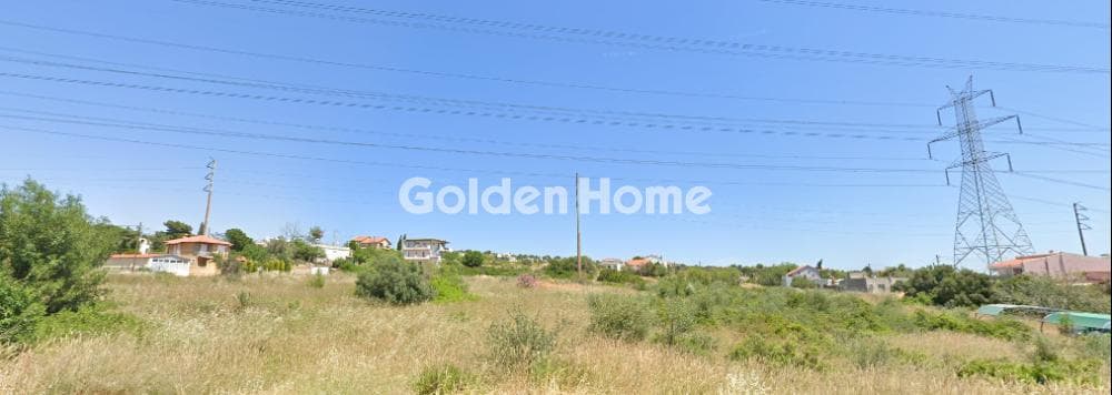 Αγροτεμάχιο στην Ανθούσα, Ανθούσα — Φωτογραφία 1 από 2