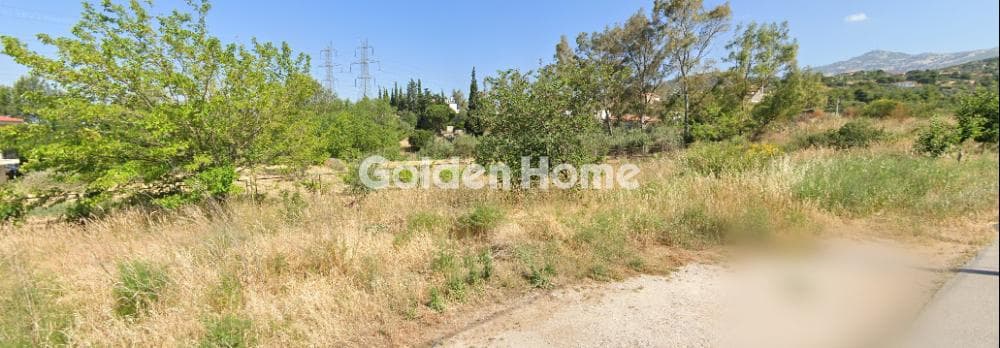 Αγροτεμάχιο στην Κέντρο, Γέρακας — Φωτογραφία 2 από 2