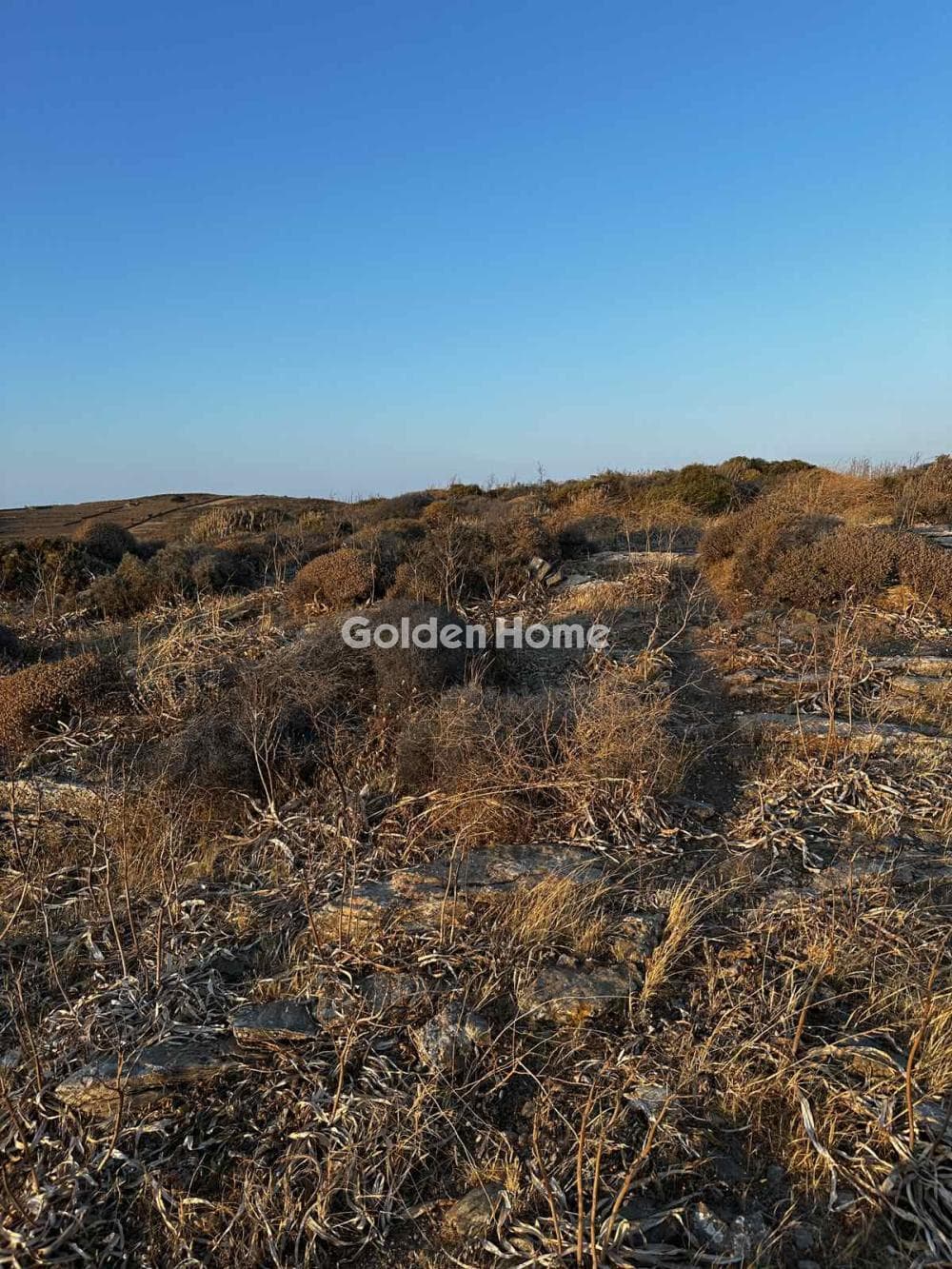 Parcel in Apokrousi, Kythnos — Photo 20 of 21
