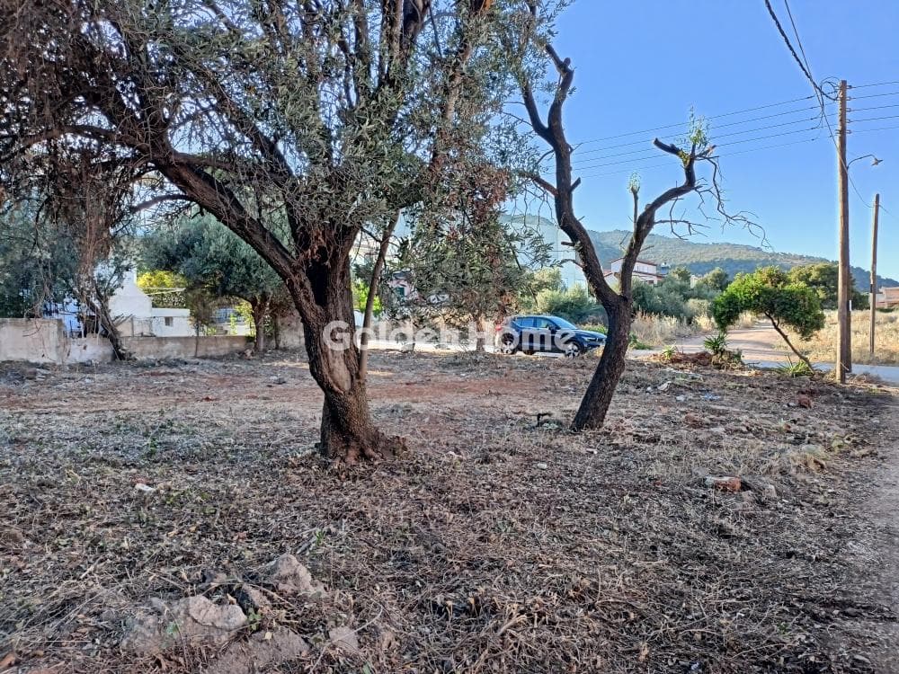 Οικόπεδο στην Άγιος Ανδρέας, Νέα Μάκρη — Φωτογραφία 1 από 3