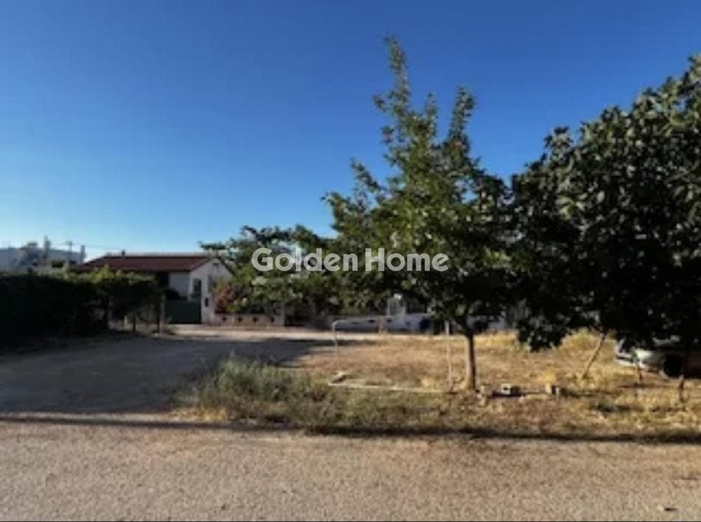 Building Plot in Oikismos Vgena, Rafina — Photo 4 of 4