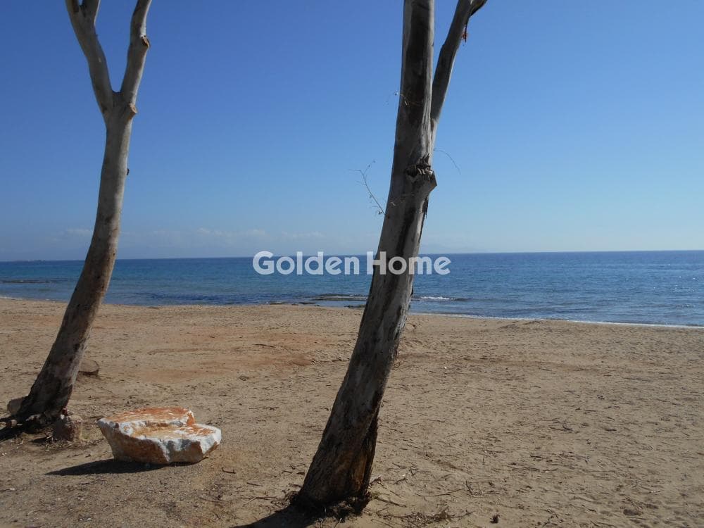 Οικόπεδο στην Άγιος Μηνάς, Αρτέμιδα (Λούτσα) — Φωτογραφία 5 από 8