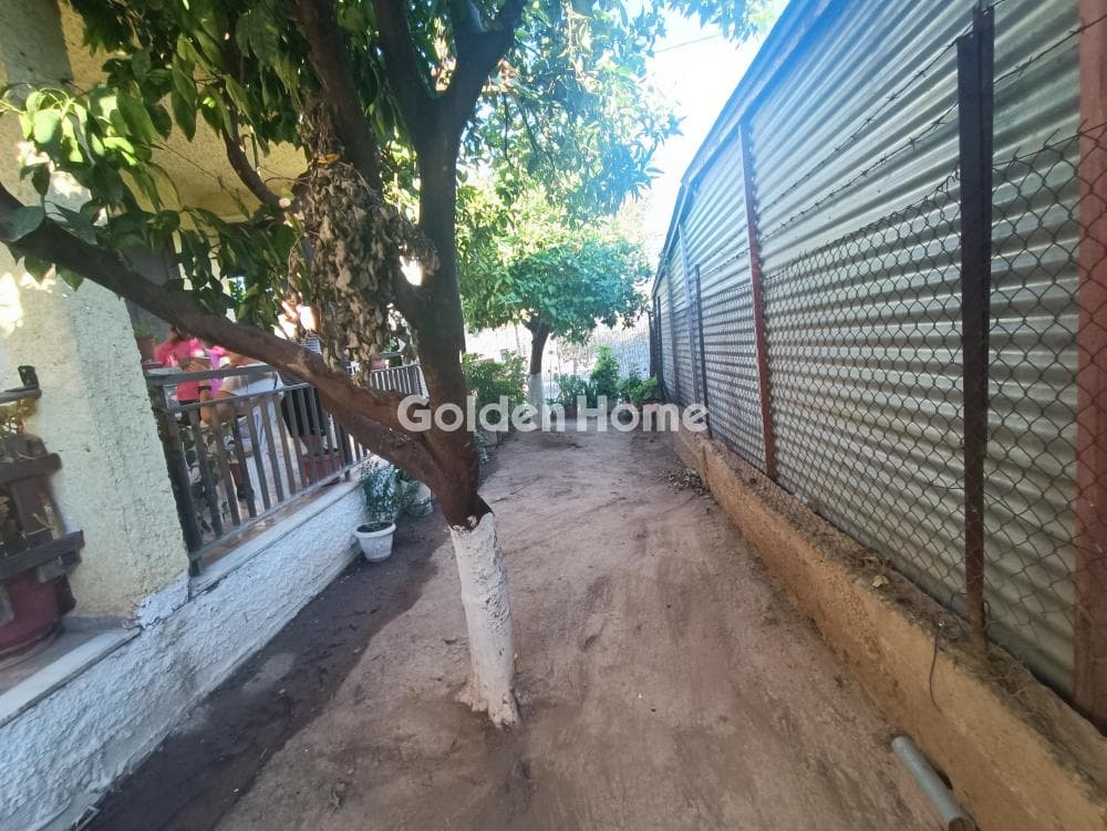 Μονοκατοικία στην Διμηνιό, Σικυώνα — Φωτογραφία 3 από 15