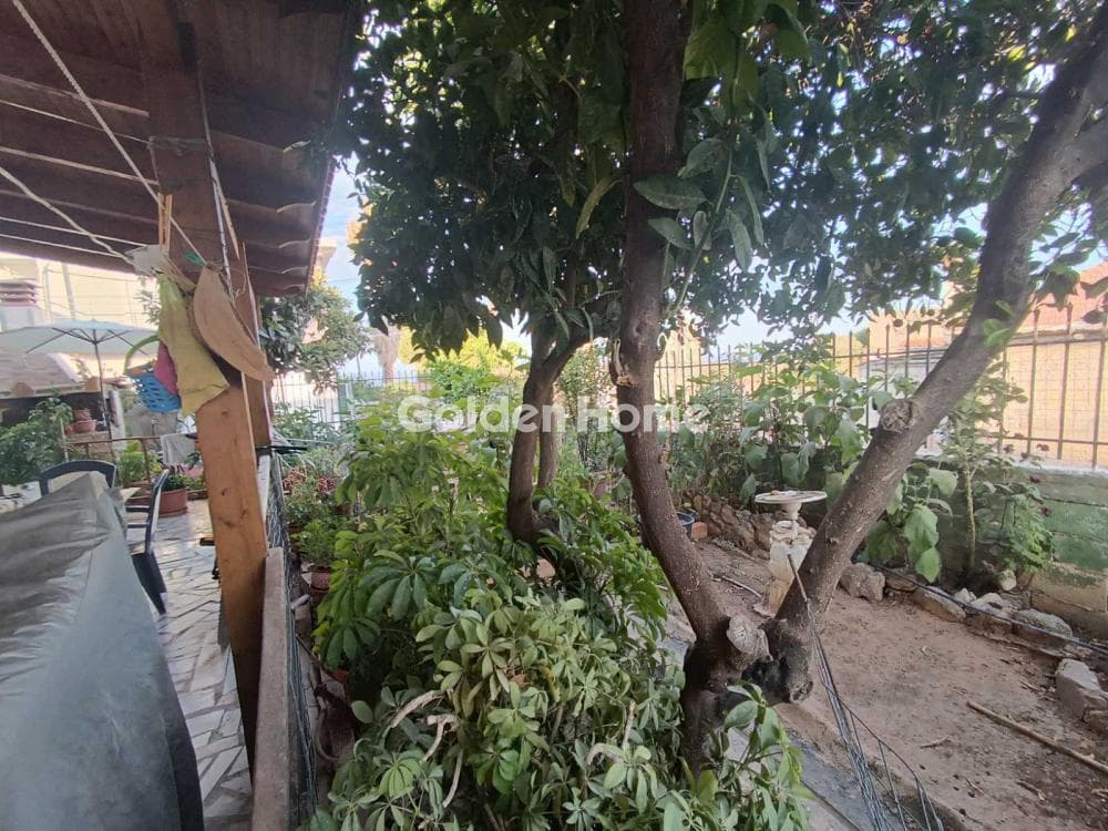 Μονοκατοικία στην Διμηνιό, Σικυώνα — Φωτογραφία 9 από 18