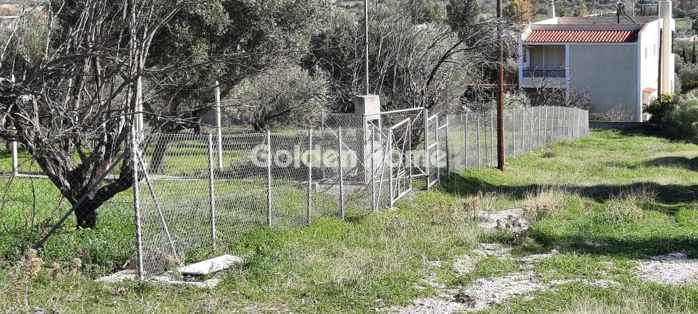 House in Alikes - Lakka, Anavissos — Photo 8 of 9