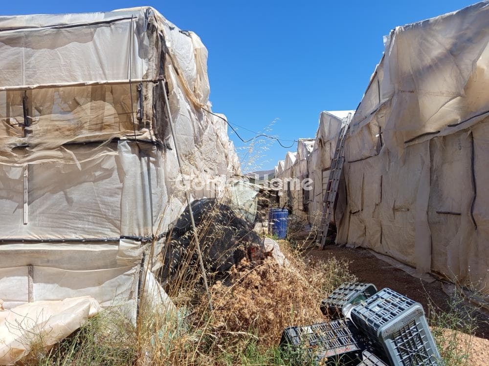 Parcel in Kokkinos Pirgos, Timpaki — Photo 7 of 9