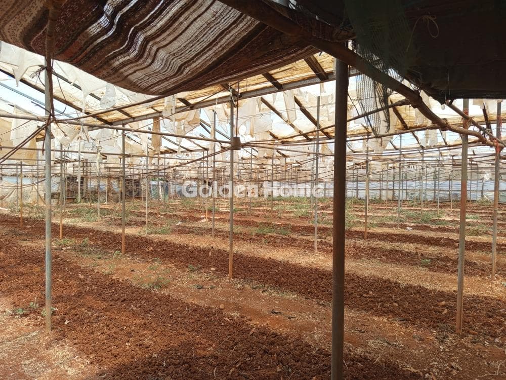 Parcel in Kokkinos Pirgos, Timpaki — Photo 2 of 9