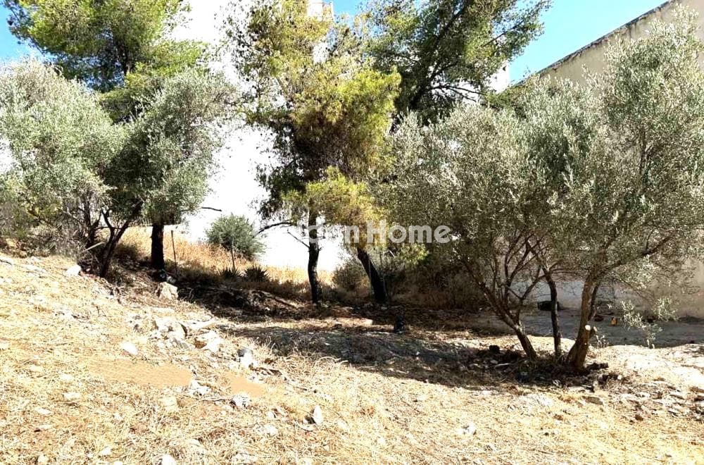 Οικόπεδο στην Πεύκα Βέρδη, Πετρούπολη — Φωτογραφία 2 από 4