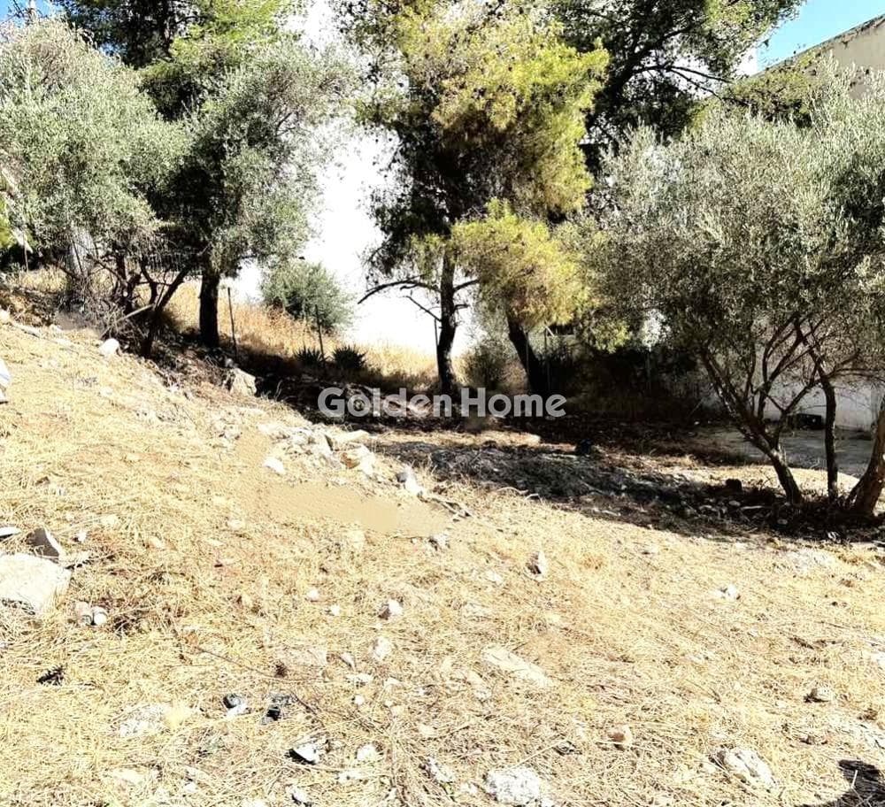 Οικόπεδο στην Πεύκα Βέρδη, Πετρούπολη — Φωτογραφία 3 από 4