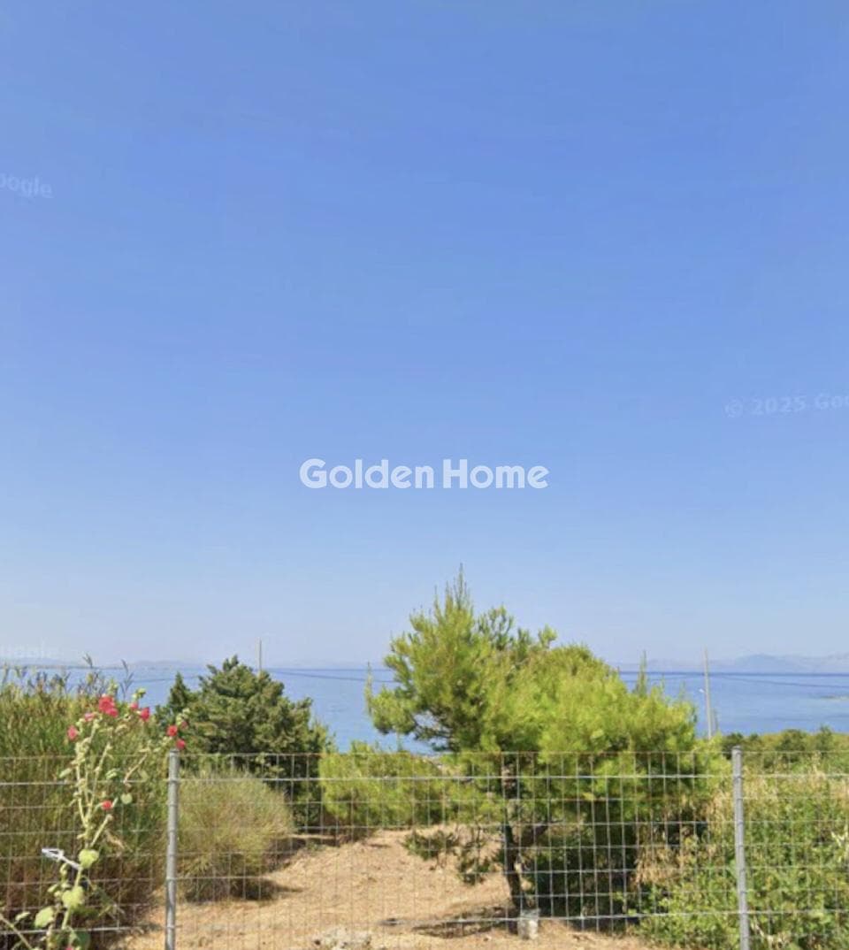 Μονοκατοικία στην Βραυρώνα, Βραυρώνα — Φωτογραφία 1 από 26