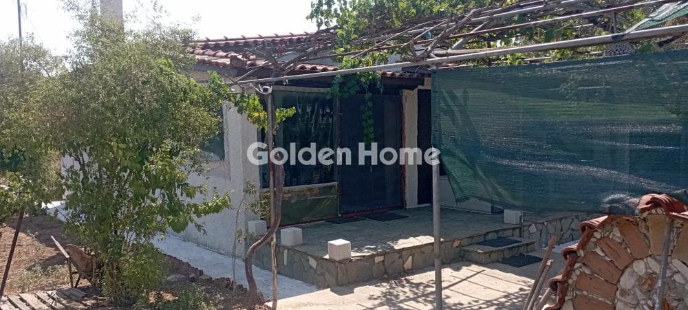 House in Ano Souli, Grammatiko — Photo 5 of 5