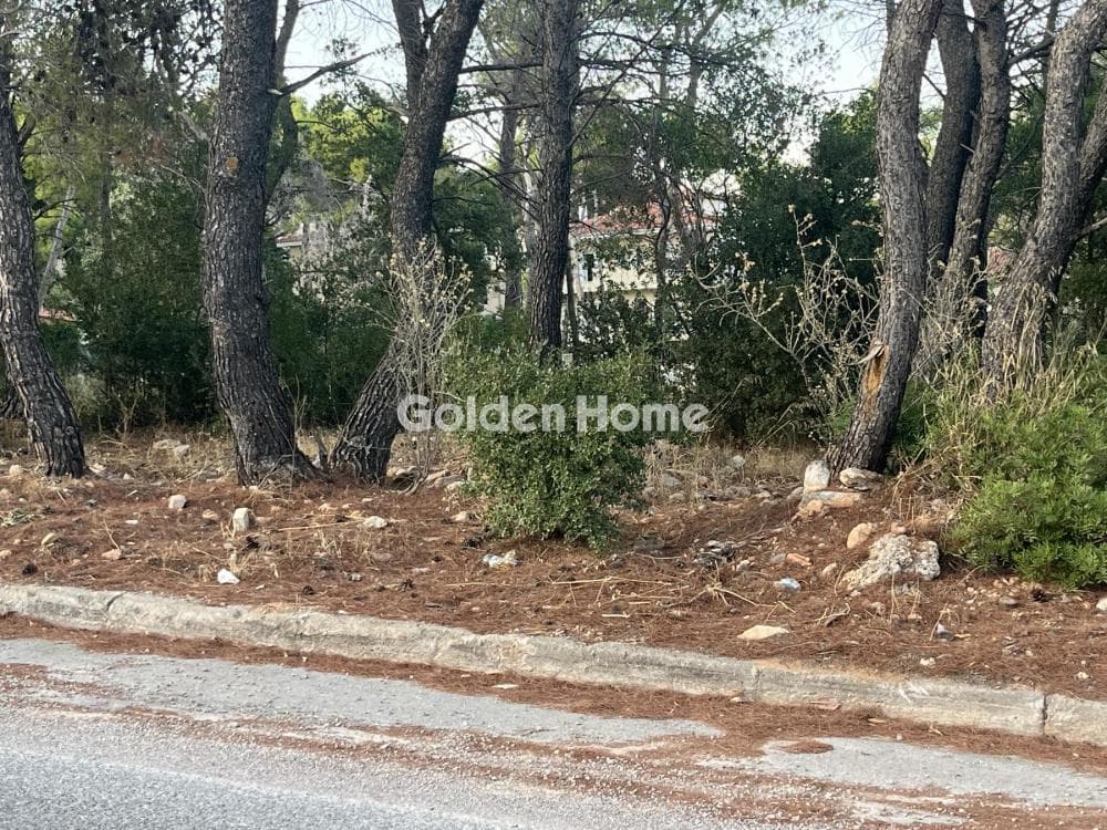 Building Plot in Megala Sxoinia A, Acharnes — Photo 2 of 13
