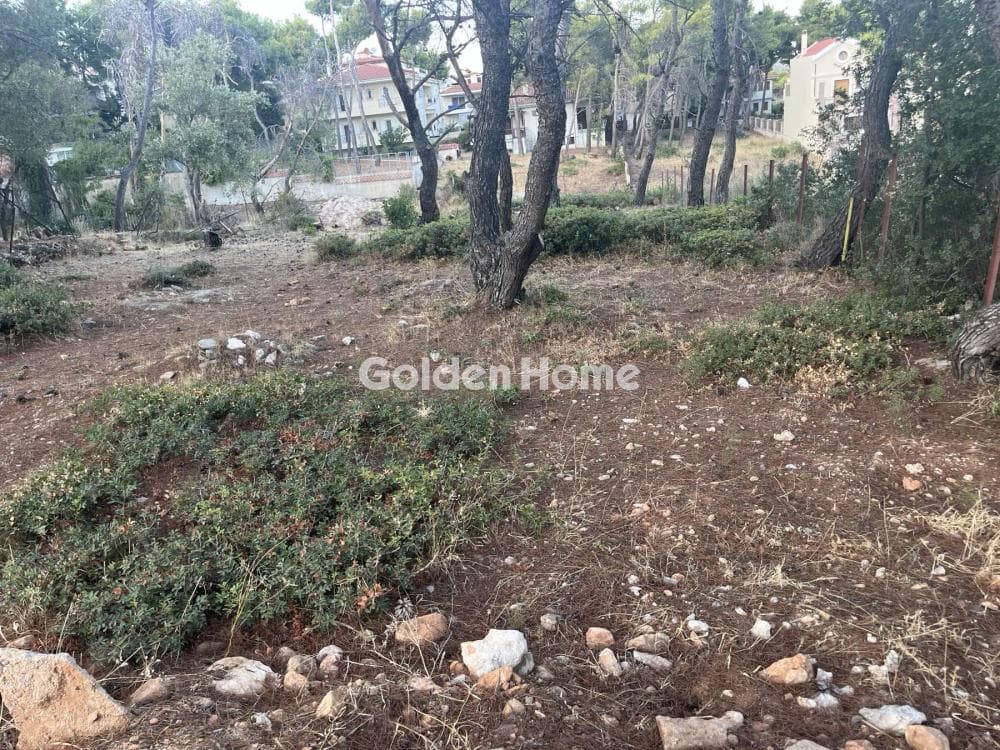Building Plot in Megala Sxoinia A, Acharnes — Photo 3 of 13