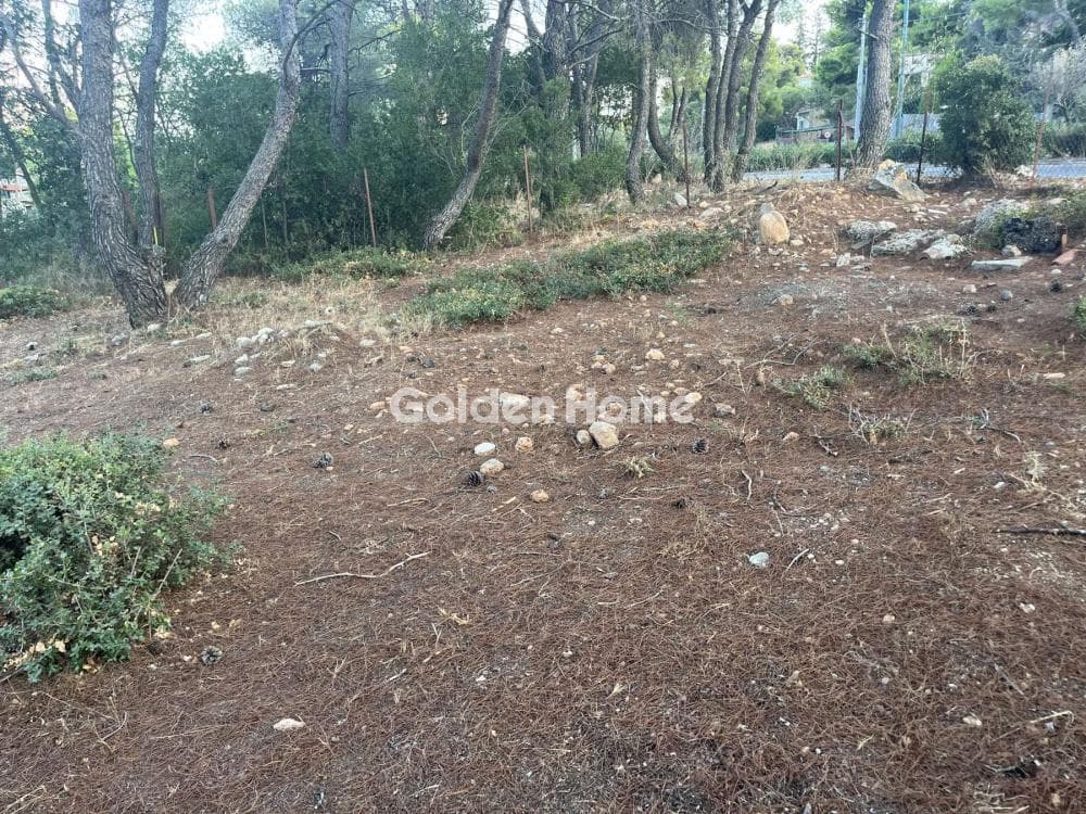 Building Plot in Megala Sxoinia A, Acharnes — Photo 4 of 13