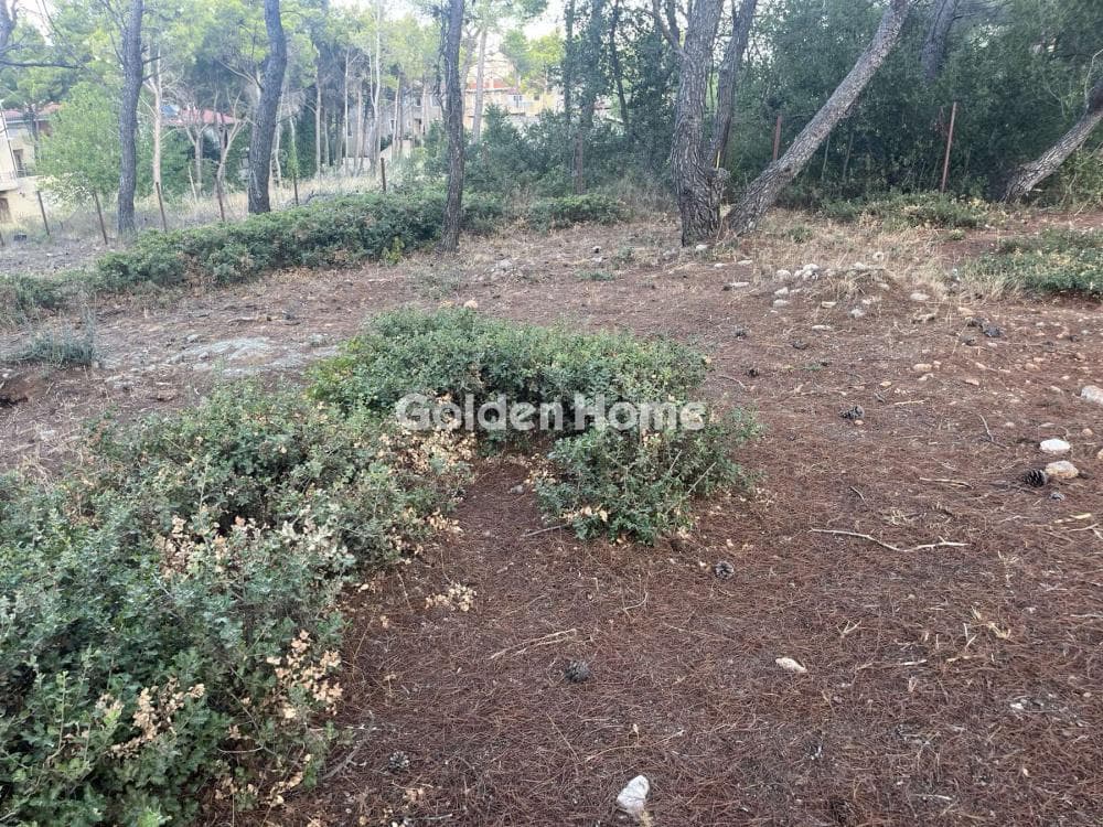 Building Plot in Megala Sxoinia A, Acharnes — Photo 5 of 13