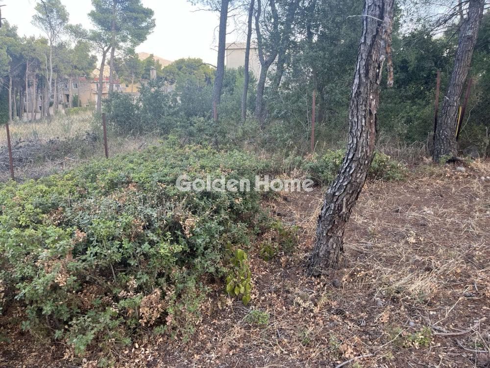 Building Plot in Megala Sxoinia A, Acharnes — Photo 6 of 13