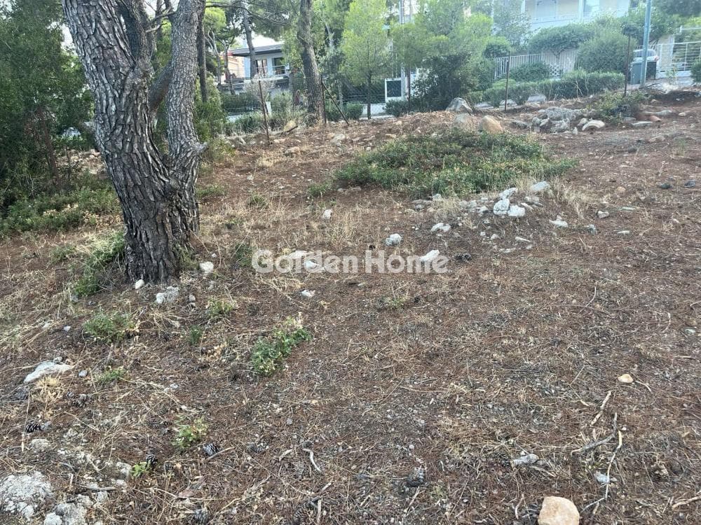 Building Plot in Megala Sxoinia A, Acharnes — Photo 7 of 13