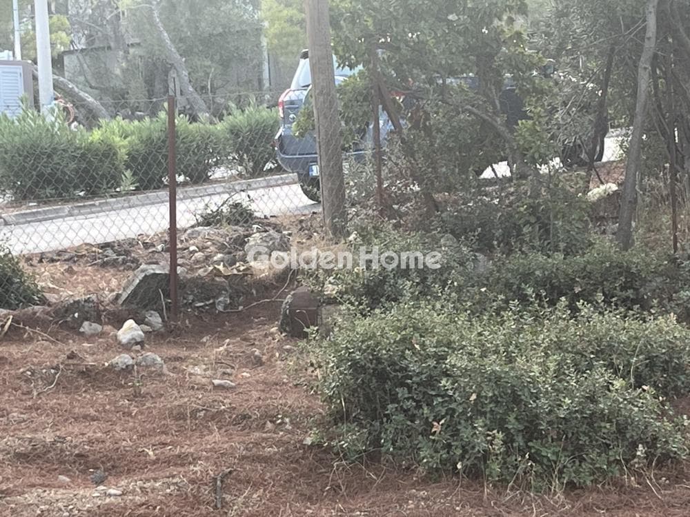 Building Plot in Megala Sxoinia A, Acharnes — Photo 8 of 13
